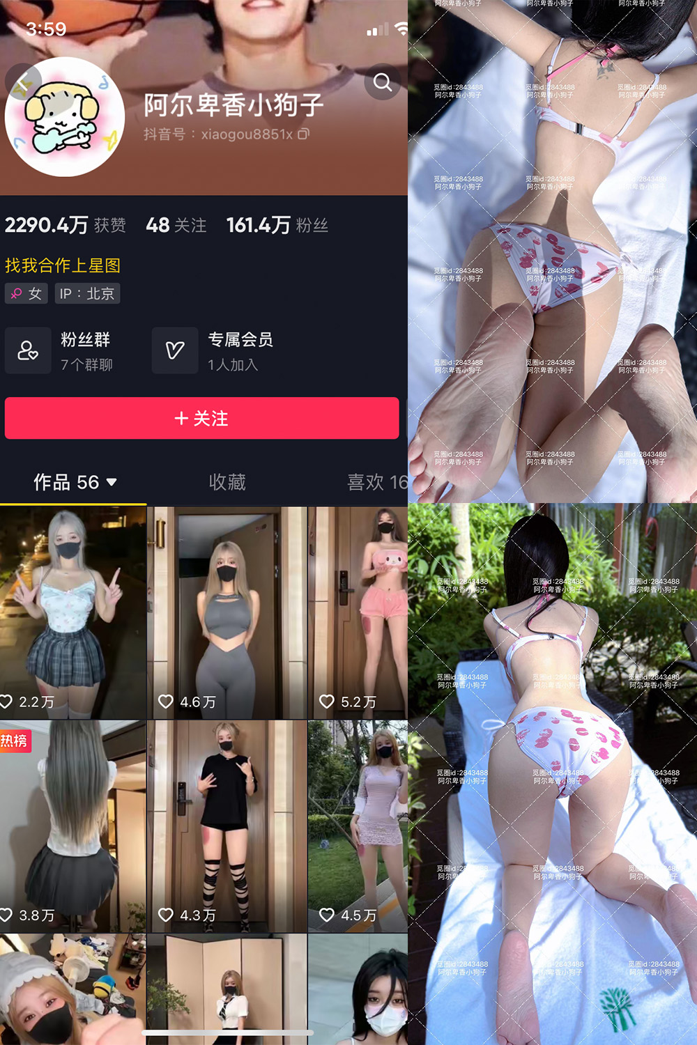 抖音 阿尔卑香小狗子 微密圈  NO.060期 【17P】最新至：2025.2.8-写真