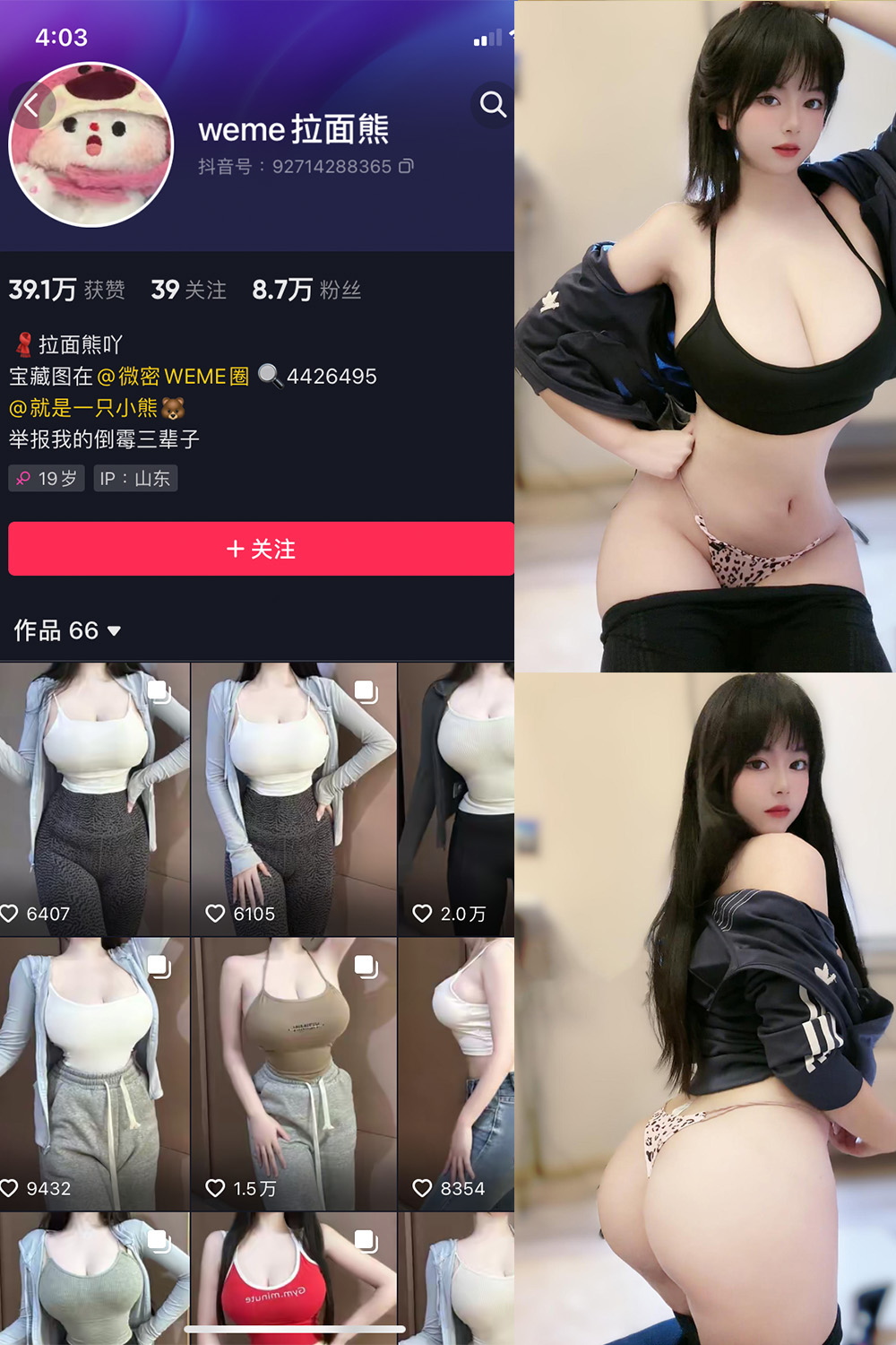 抖音 拉面熊 微密圈  NO.015期 【53P】最新至：2024.9.9-写真