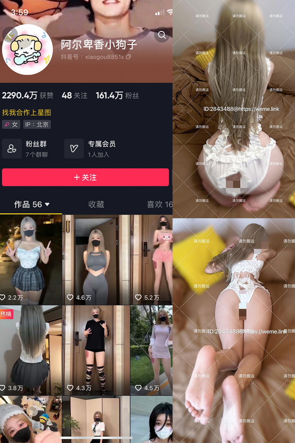 抖音 阿尔卑香小狗子 微密圈  NO.054期 【16P1V】最新至：2024.8.9-写真