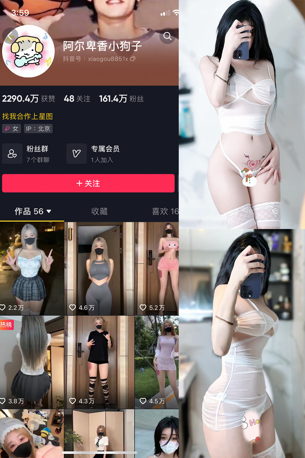 抖音 阿尔卑香小狗子 微密圈  NO.051期 【33P】最新至：2024.7.1-写真