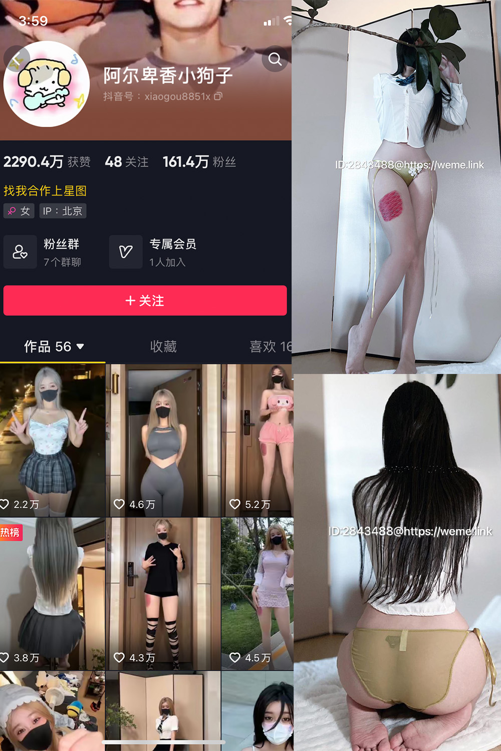 抖音 阿尔卑香小狗子 微密圈  NO.047期 【39P】最新至：2024.6.10-写真
