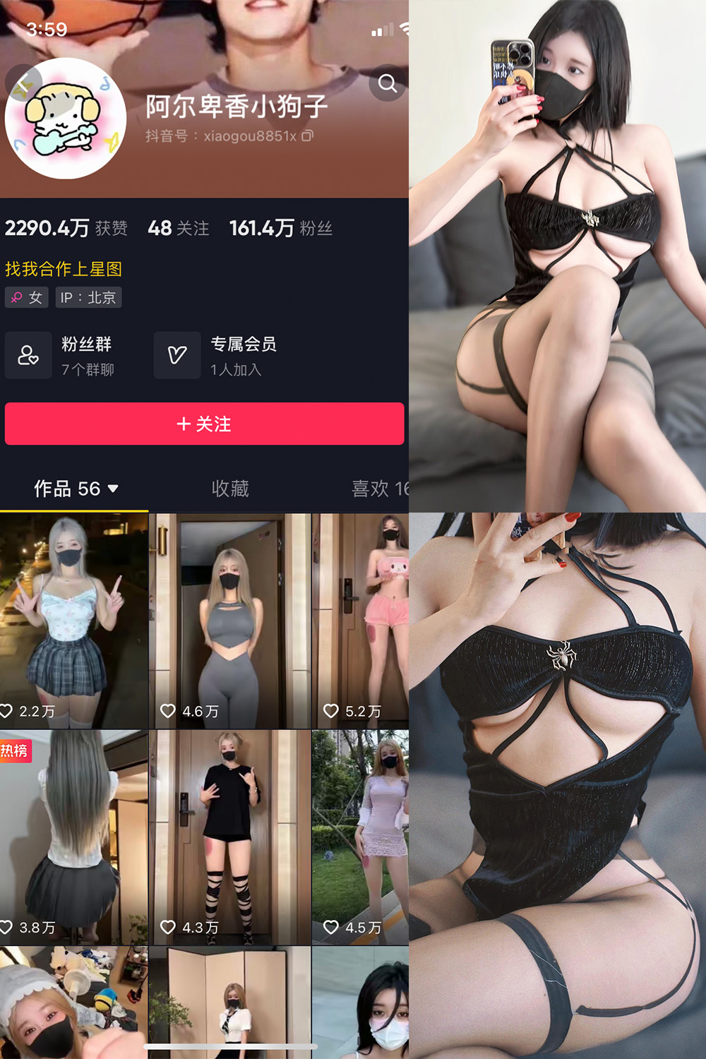 抖音 阿尔卑香小狗子 微密圈  NO.046期 【14P1V】最新至：2024.6.9-写真