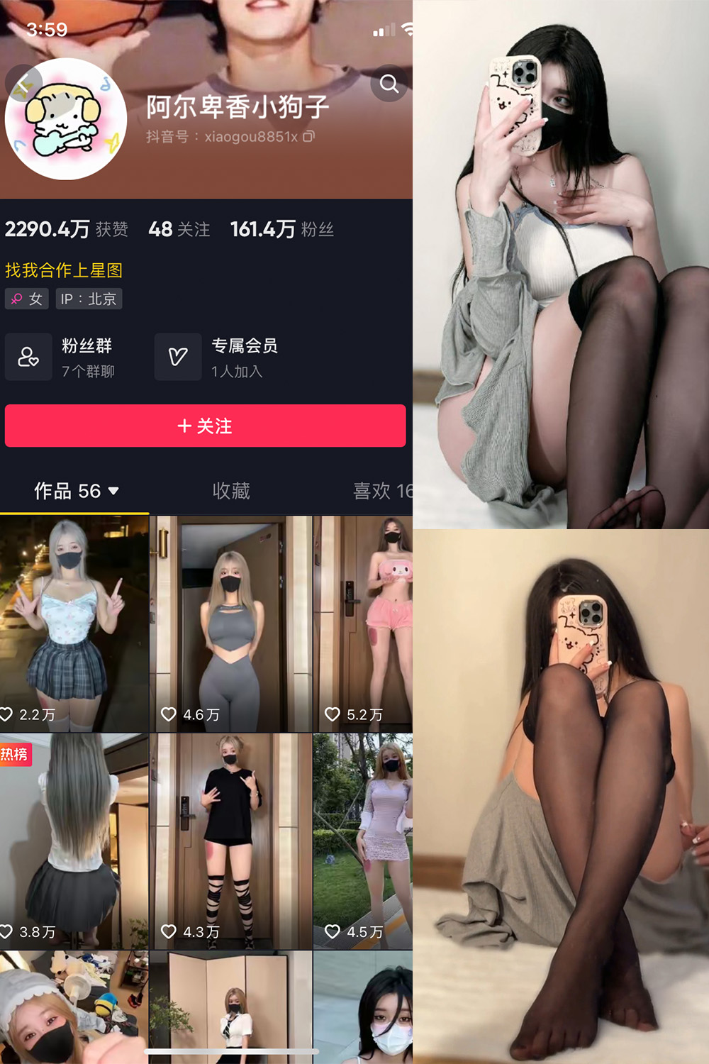 抖音 阿尔卑香小狗子 微密圈  NO.042期 【6P1V】最新至：2024.1.24-写真