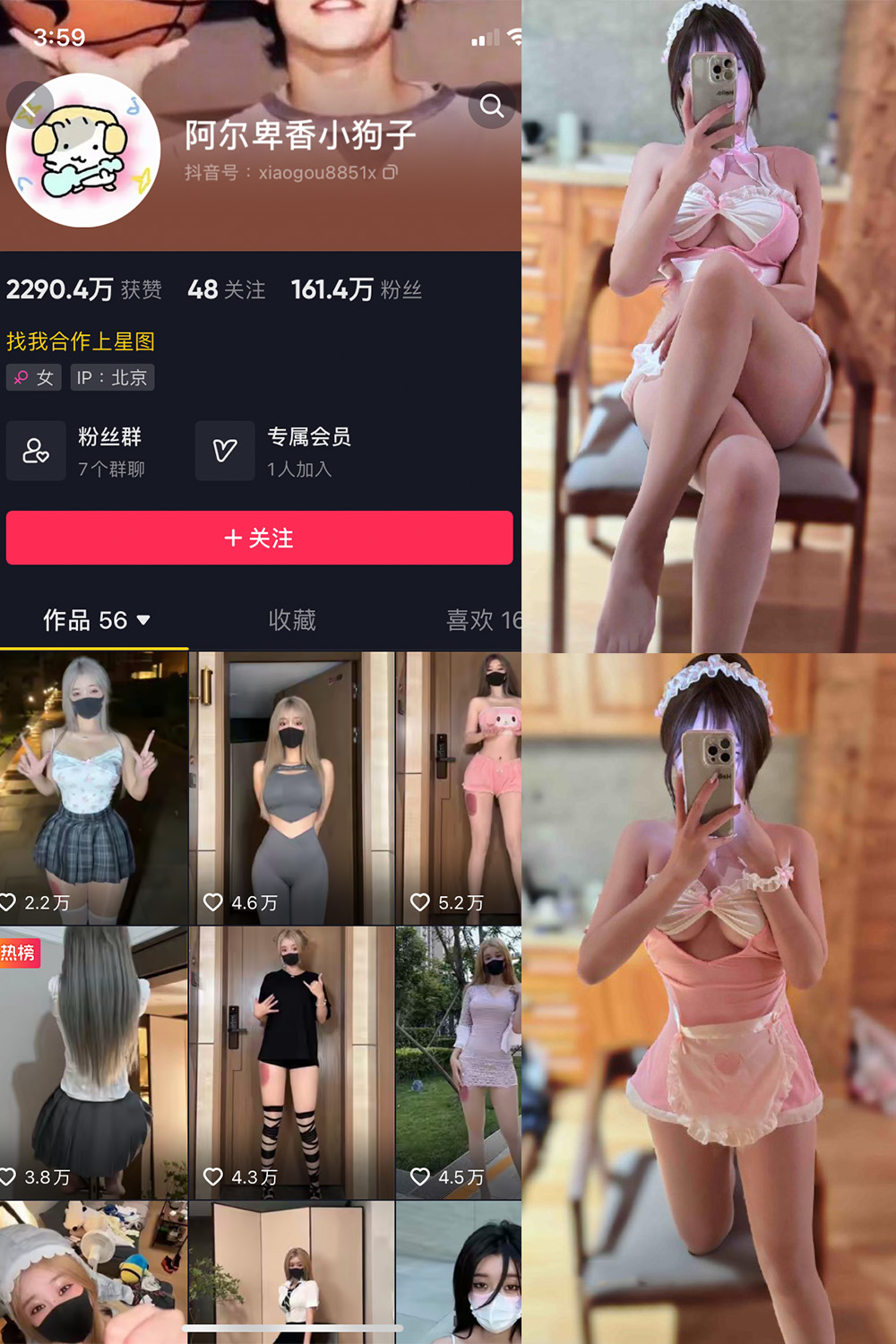 抖音 阿尔卑香小狗子 微密圈  NO.039期 【10P】-写真