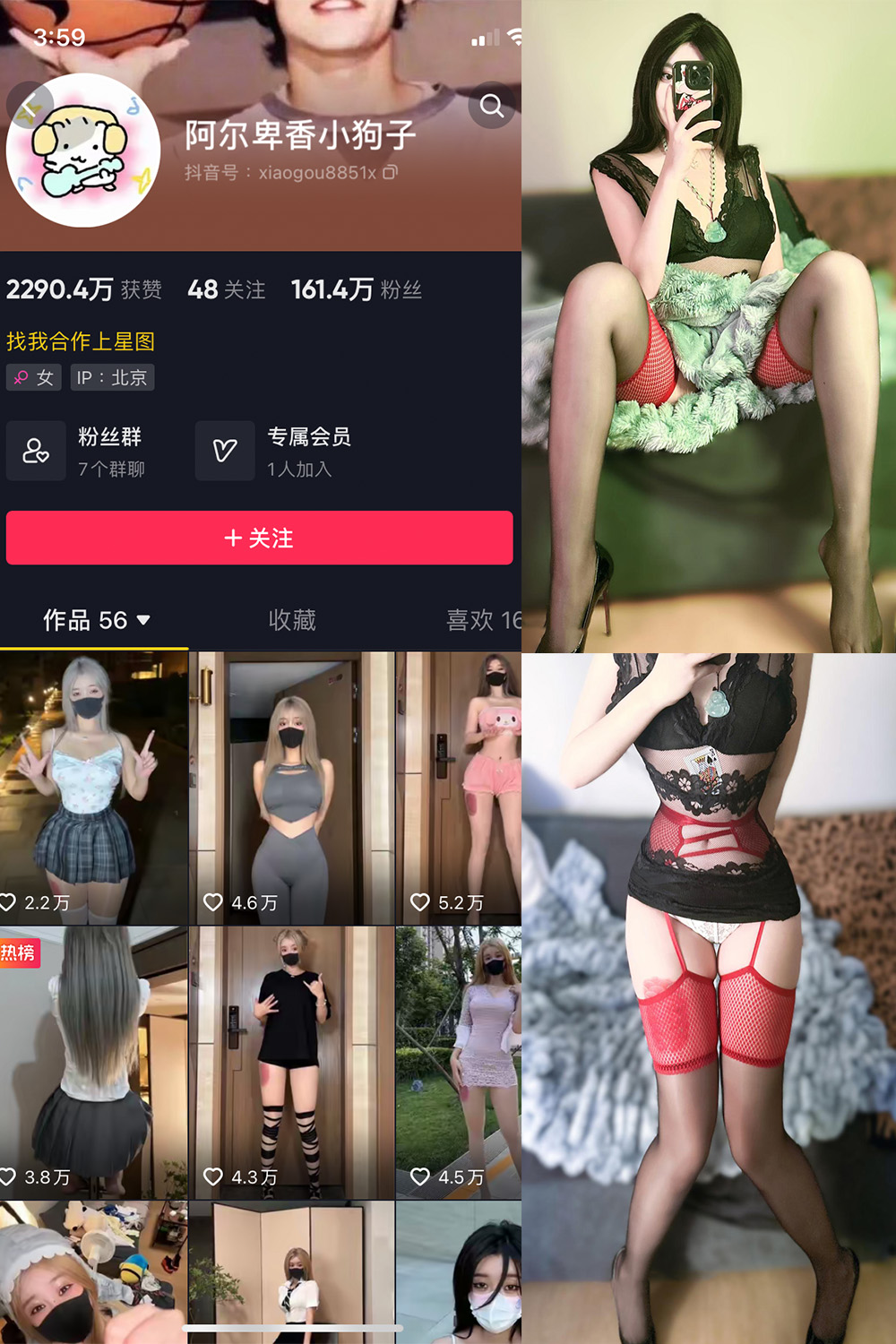 抖音 阿尔卑香小狗子 微密圈  NO.034期 【26P】最新至：2023.10.23-写真