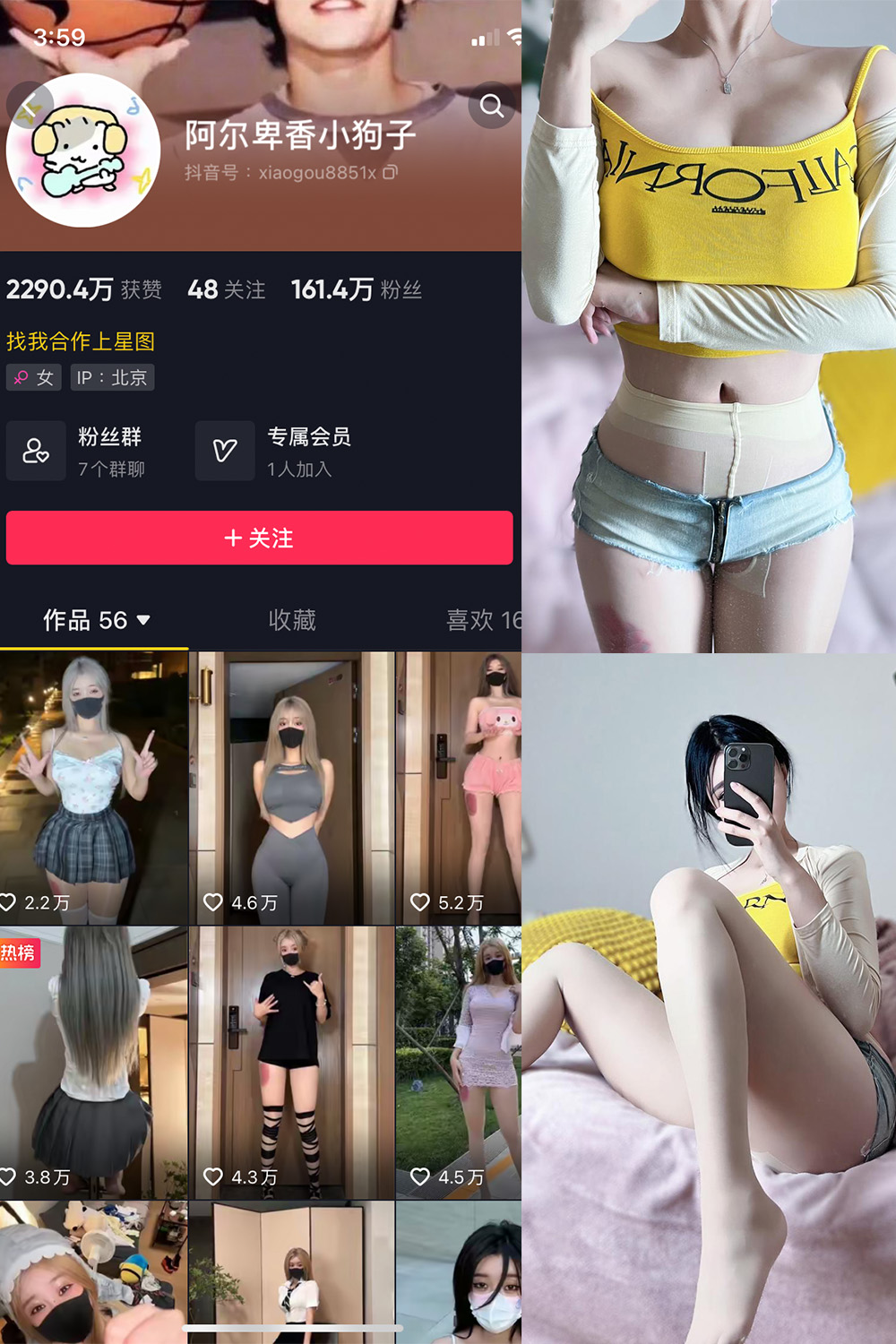 抖音 阿尔卑香小狗子 微密圈  NO.032期 【22P】-写真