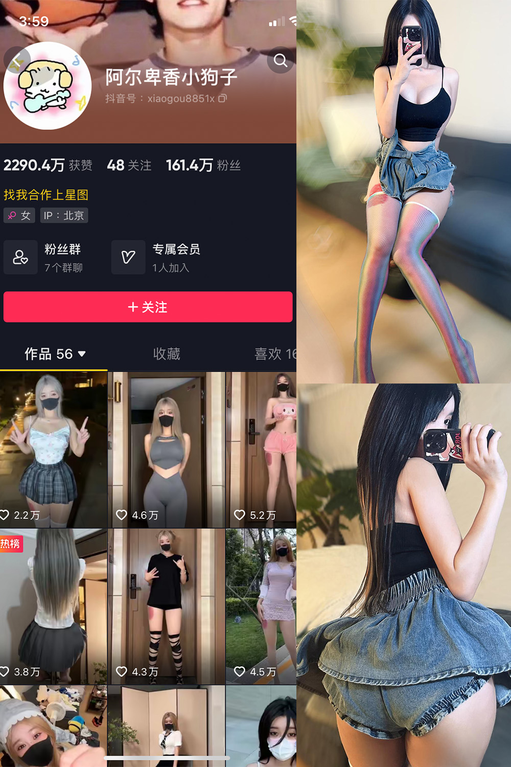 抖音 阿尔卑香小狗子 微密圈  NO.027期 【7P】最新至：2023.9.29-写真