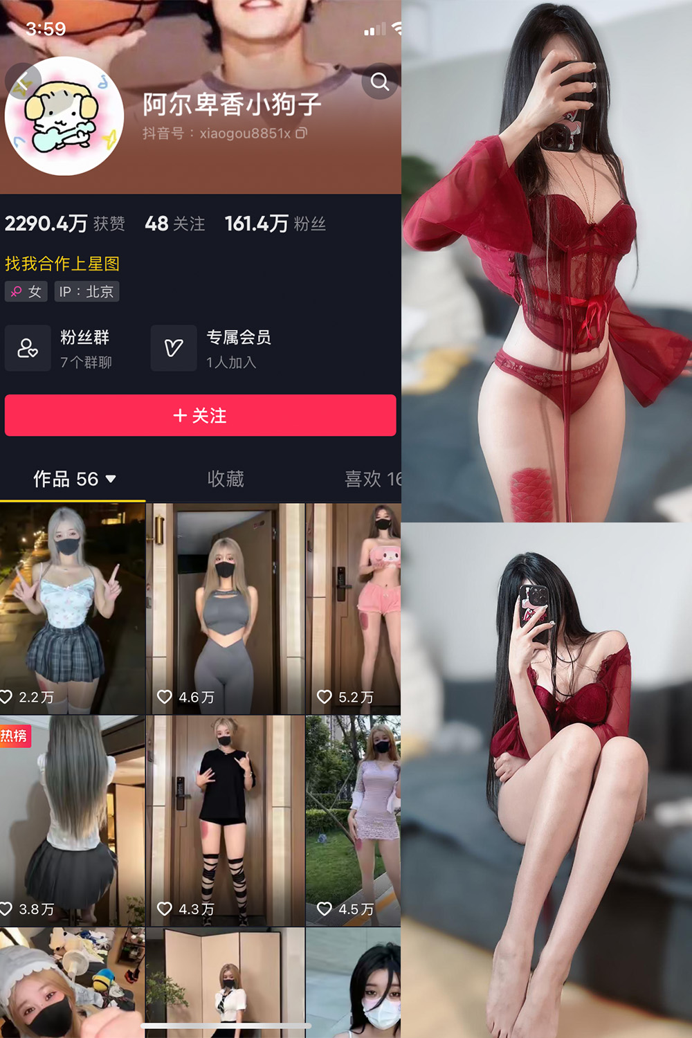 抖音 阿尔卑香小狗子 微密圈  NO.025期 【10P2V】最新至：2023.9.20-写真