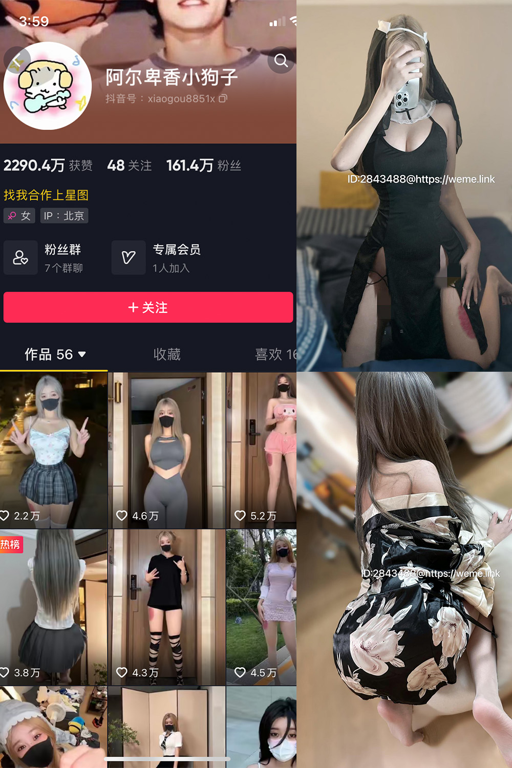 抖音 阿尔卑香小狗子 微密圈  NO.014期 【54P2V】-写真