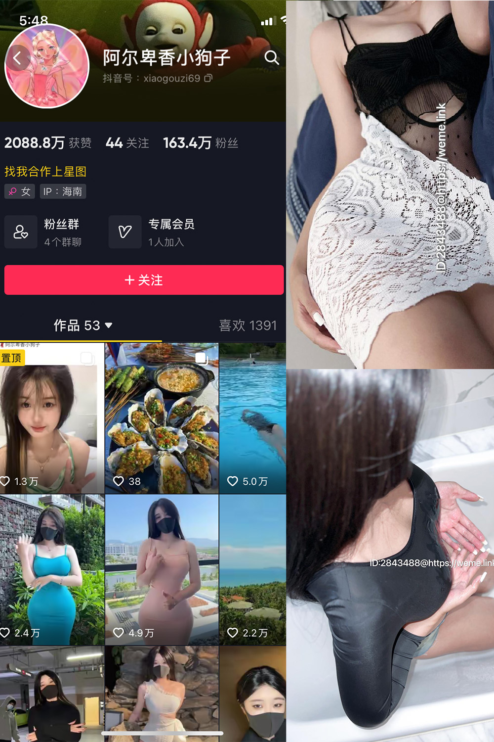 抖音 阿尔卑香小狗子 微密圈  NO.011期 【36P1V】最新至：2023.7.6-写真
