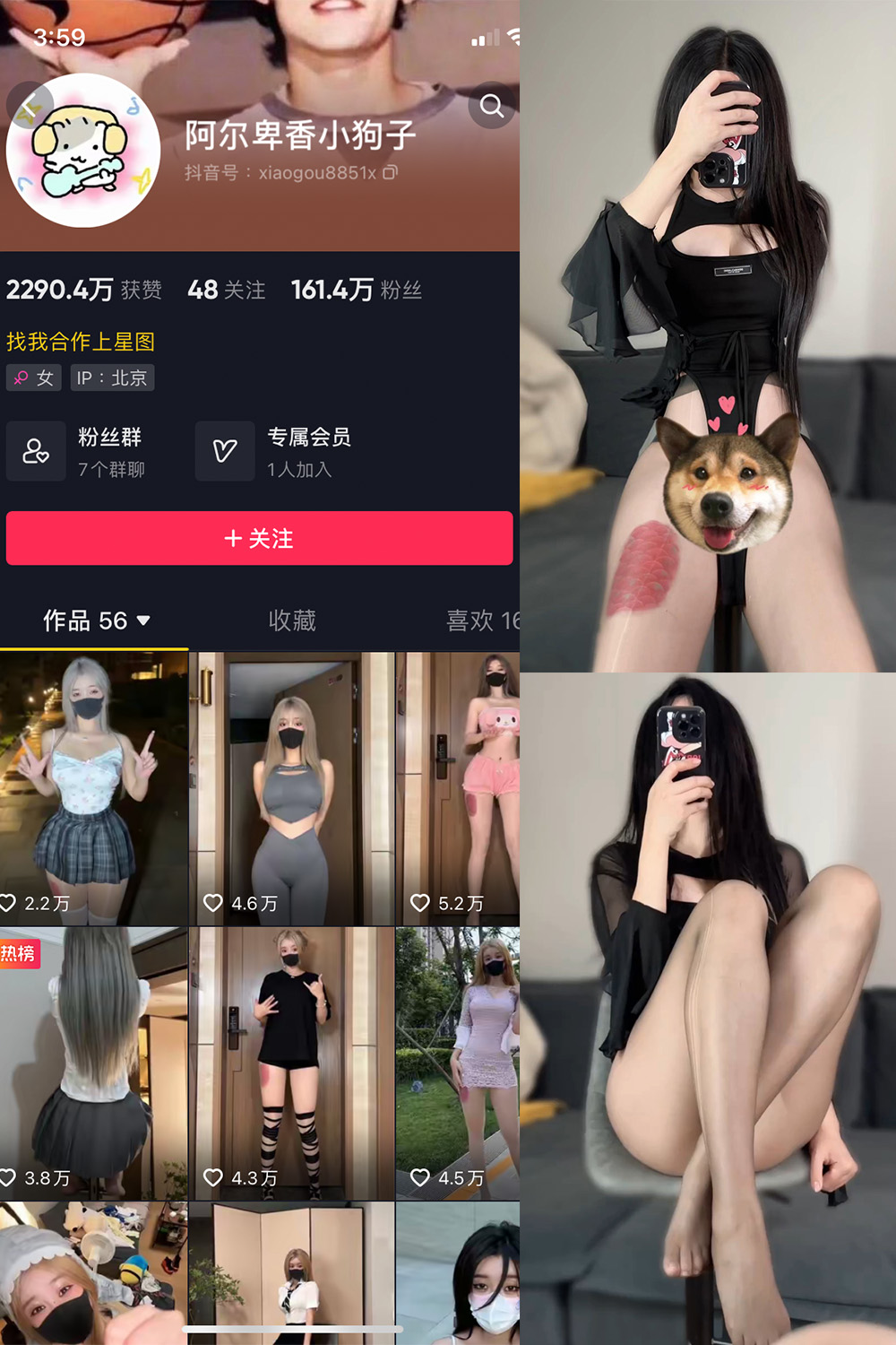 图片[1]-抖音 BT富儿 微密圈 019期 【3P2V】最新至：2025.4.21-微私密圈-全网最全抖音网红铁粉写真空间