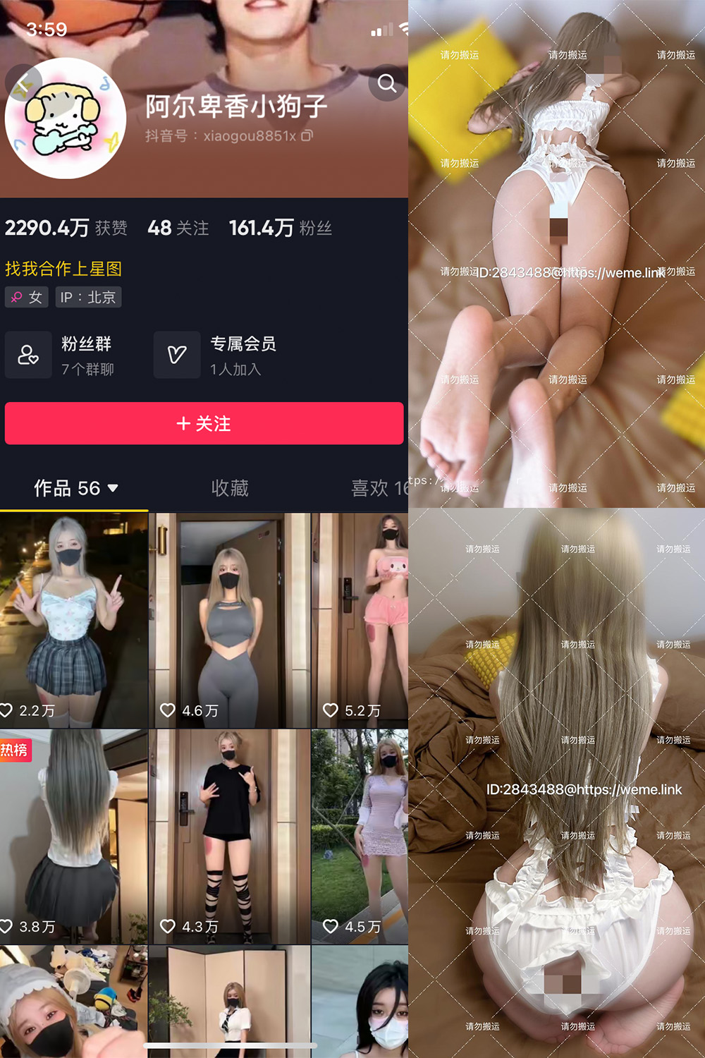 图片[1]-抖音 BT富儿 微密圈 019期 【3P2V】最新至：2025.4.21-微私密圈-全网最全抖音网红铁粉写真空间